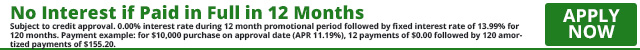 1123 - No Interest if Paid in Full in 12 Months