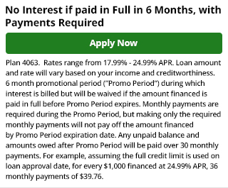 4063 - 6 Months No Interest, with Payments (36 months) - (30 Principal Pmts)