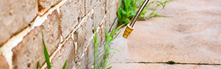 Image of pest control product being sprayed along a sidewalk at the base of a brick wall.